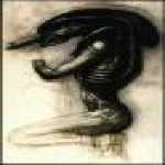 thumb_1034 (Medium).jpg